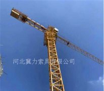 速差防墜器保護(hù)塔吊司機(jī)安全