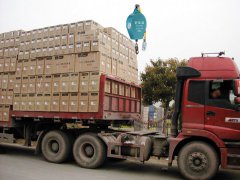 防墜器廠家推薦永磁吸盤裝車